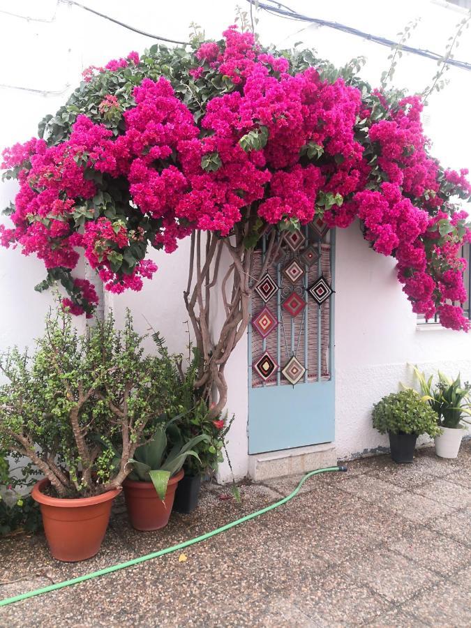 Corazon De Conil Apartment Conil De La Frontera Ngoại thất bức ảnh