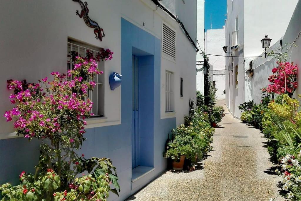 Corazon De Conil Apartment Conil De La Frontera Ngoại thất bức ảnh
