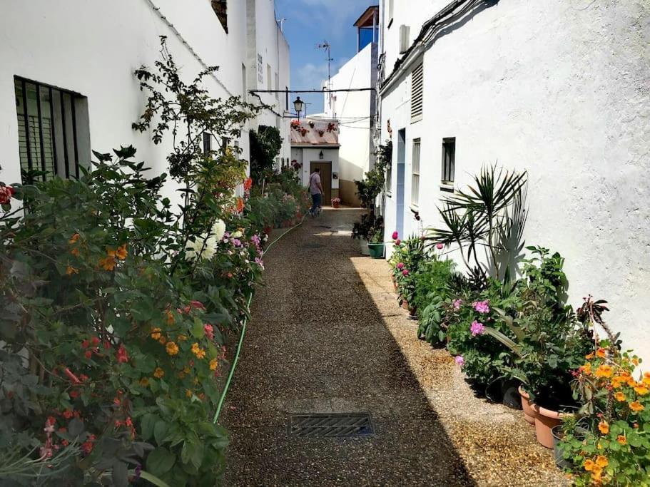 Corazon De Conil Apartment Conil De La Frontera Ngoại thất bức ảnh