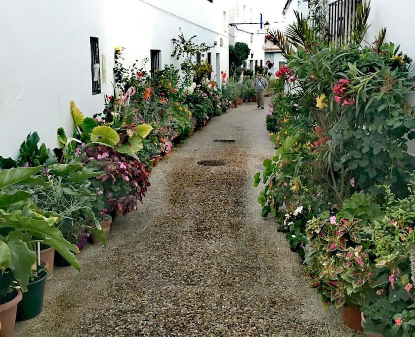 Corazon De Conil Apartment Conil De La Frontera Ngoại thất bức ảnh